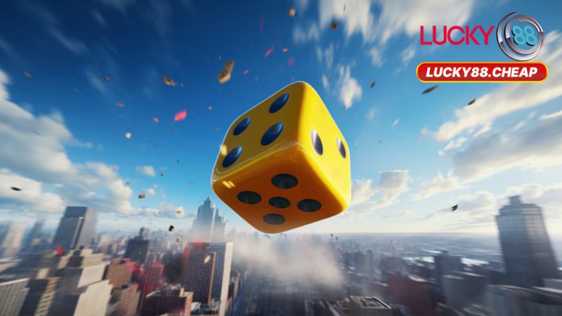 Quyền Và Nghĩa Vụ Của Người Chơi