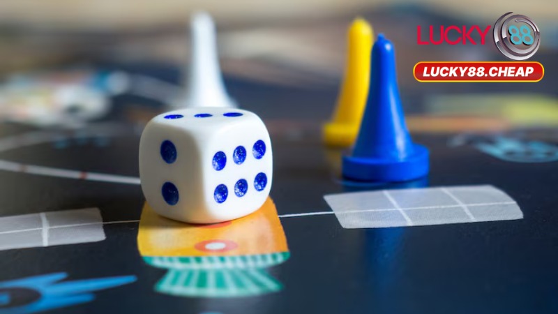 Quyền Và Nghĩa Vụ Của Người Chơi